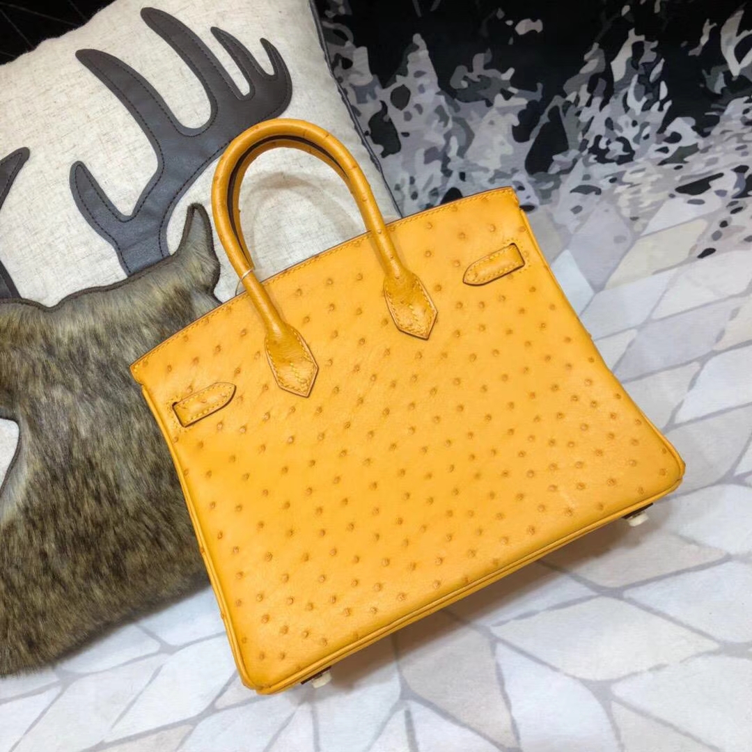 Hermes Birkin25CM 爱马仕原厂顶级鸵鸟皮铂金包 大黄色 金扣