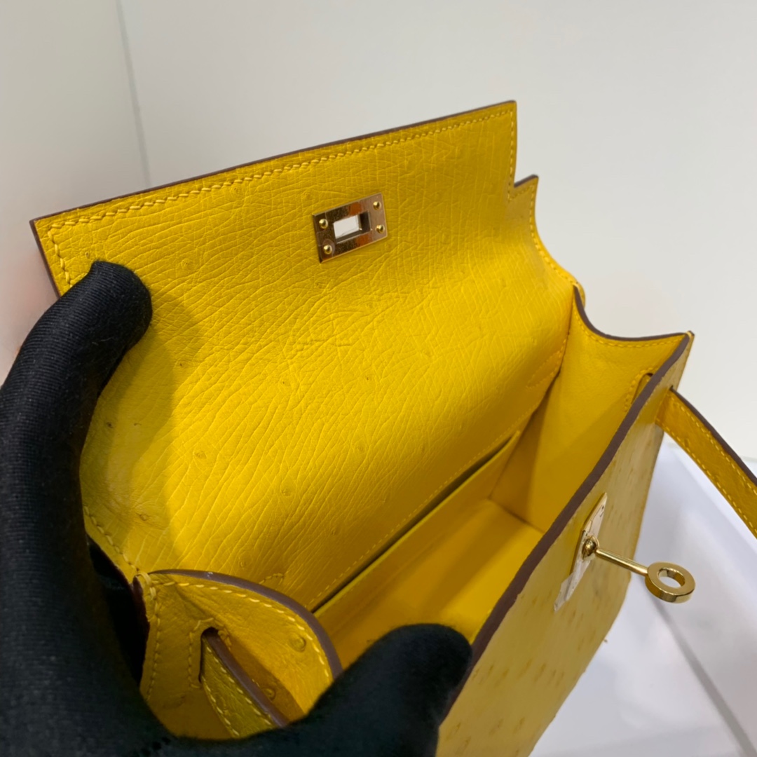 Hermes Minikelly Pochette22CM 爱马仕琥珀黄顶级鸵鸟皮迷你凯莉包 金扣